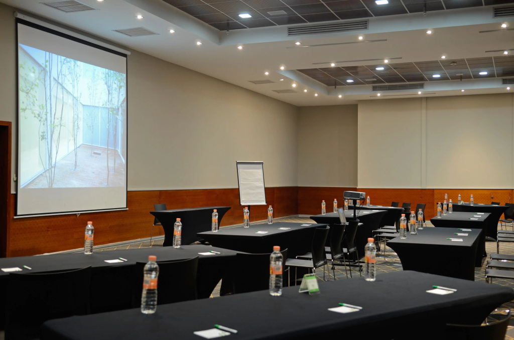 Holiday Inn San Luis Potosi Quijote by IHG - Général