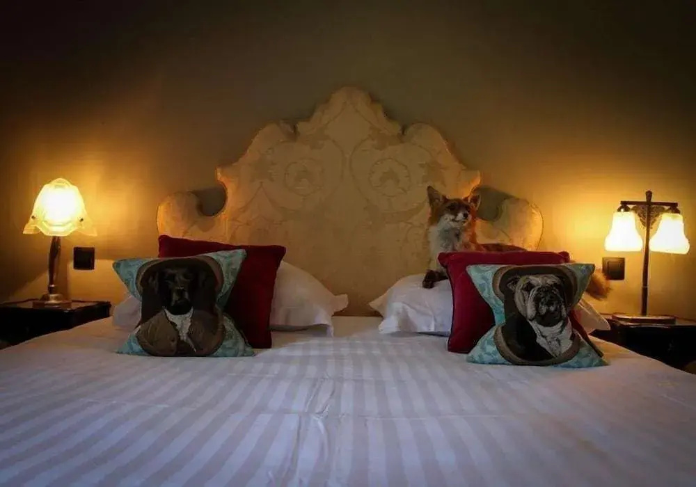 Hotel photo 3