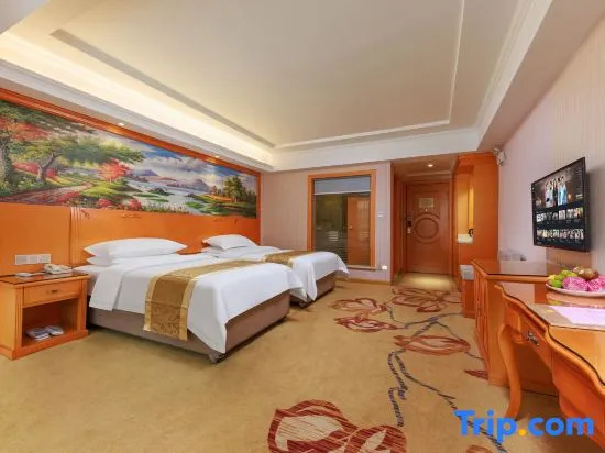 Deluxe Double room (full double bed)