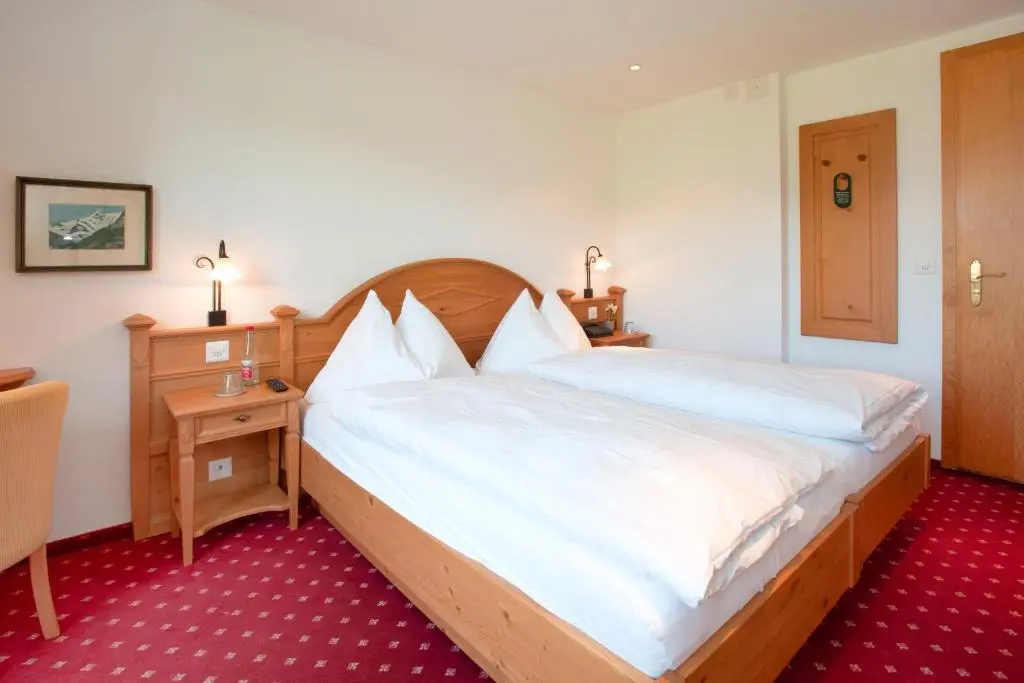 Economy Double room (twin beds)
