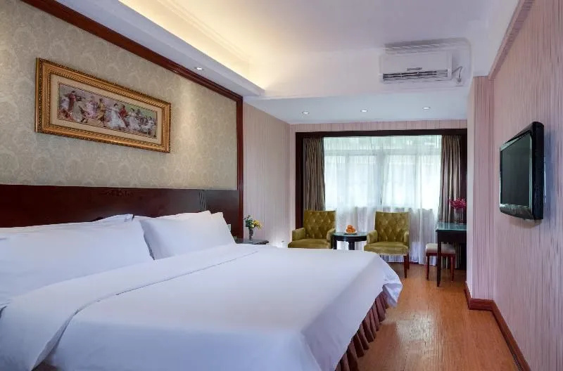 Vienna Hotel Shenzhen Railway Station - Général