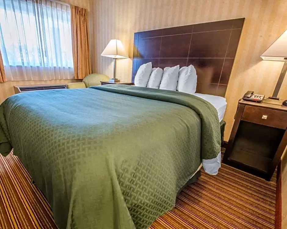 Comfort Inn - Chambres