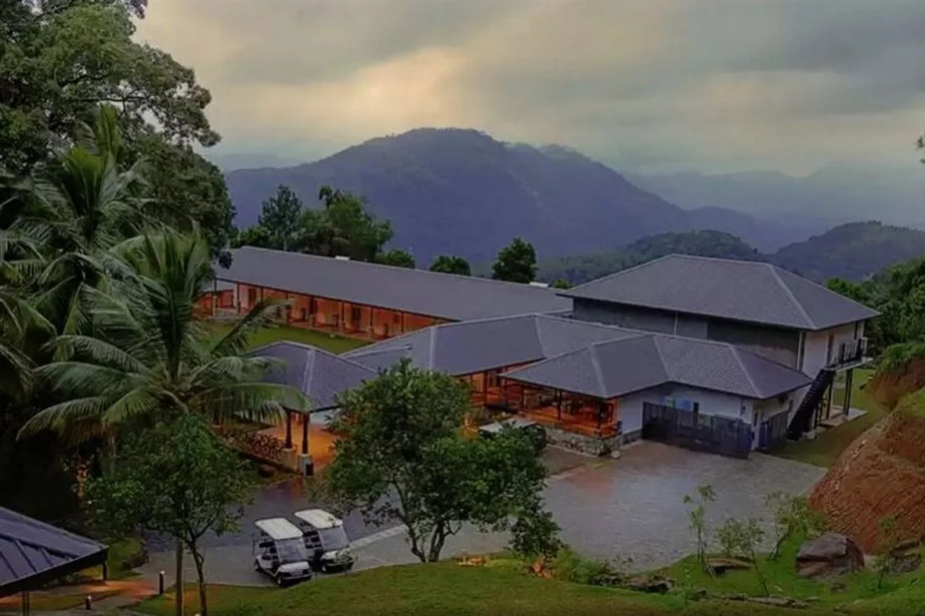 Simpson's Forest Hotel - фото 14