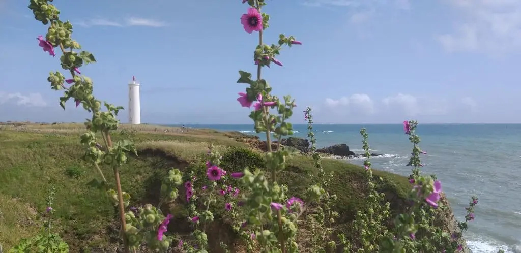 Ma maison au bord de la mer