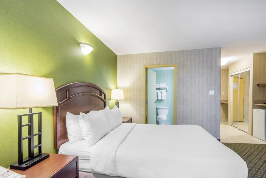 Clarion Hotel & Conference Centre - фото 4