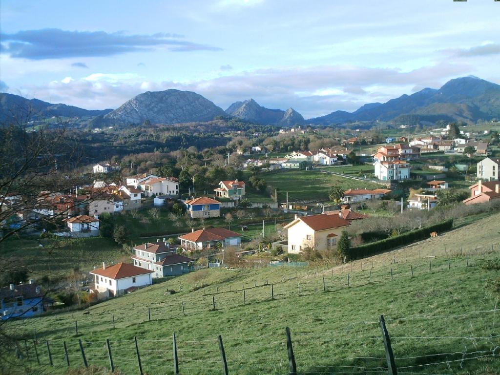 Image 13