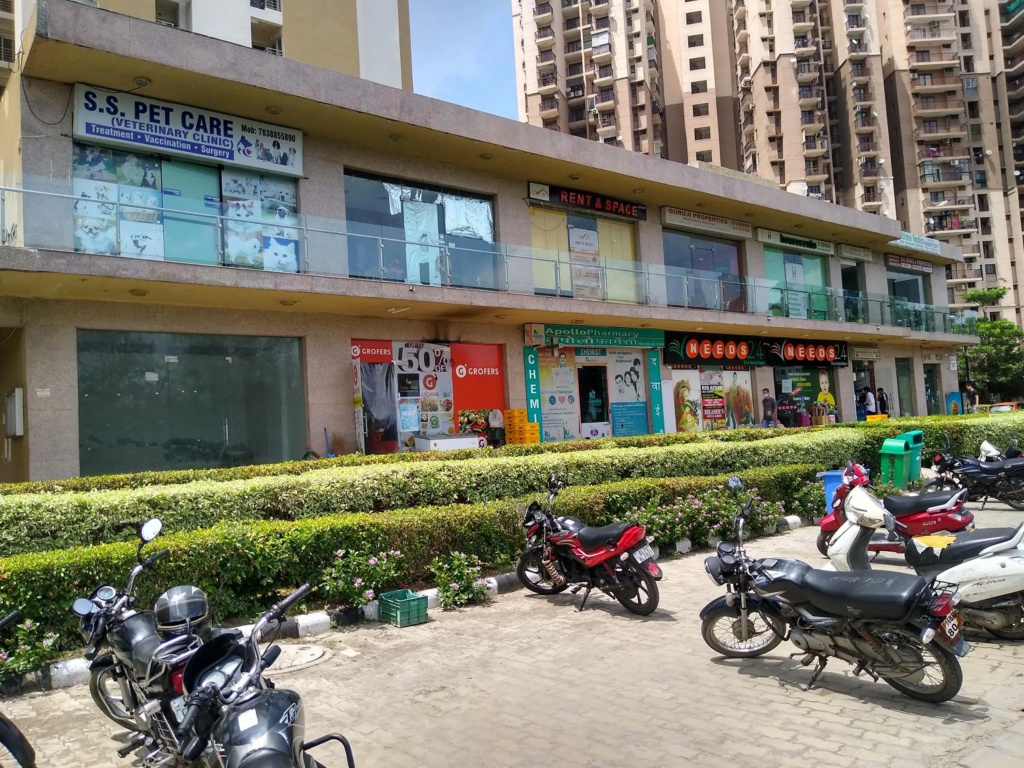 Entire Suites/Studio near IT hub/Expressway/Metro