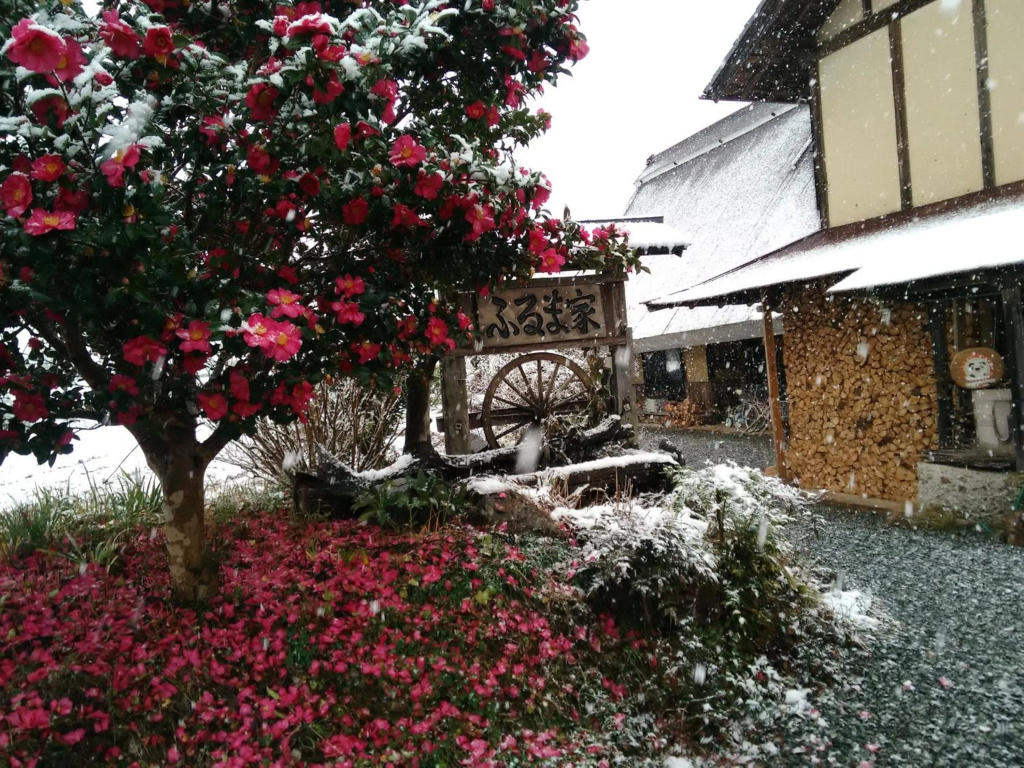 古民家の宿 ふるま家 Furumaya House Gastronomic Farmstay in Deep Kyoto