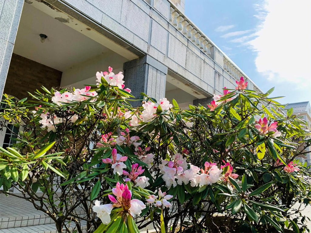 Yugashima Golf Club Hotel Resort