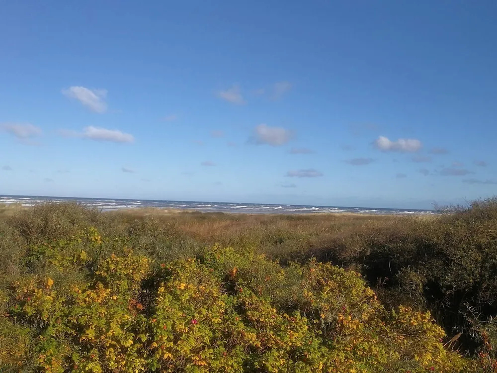 4 Star Holiday Home in Albaek