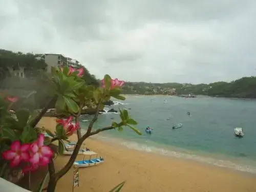 Beach & Waterfront