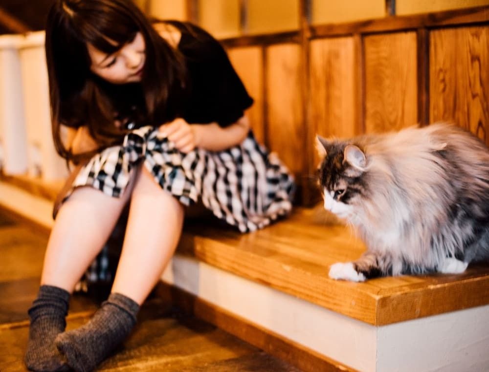 Hida Takayama Guest House Tau Hostel 사진 16