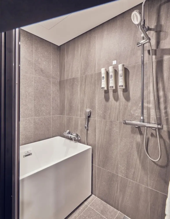 Sotetsu Hotels The Splaisir Seoul Myeong-Dong - Chambres