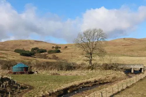 Ettrick Valley Yurts