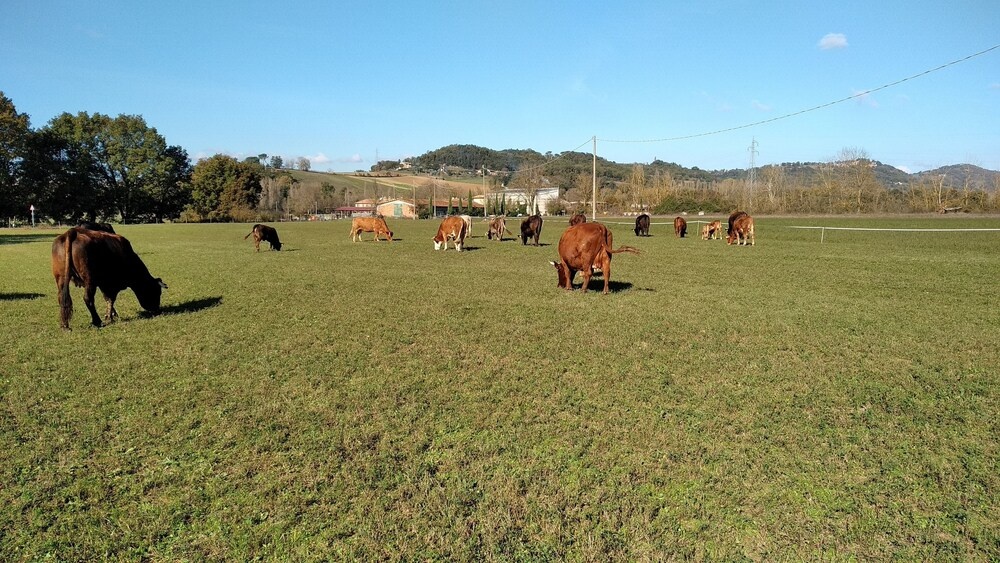 Agriturismo I Due Mondi