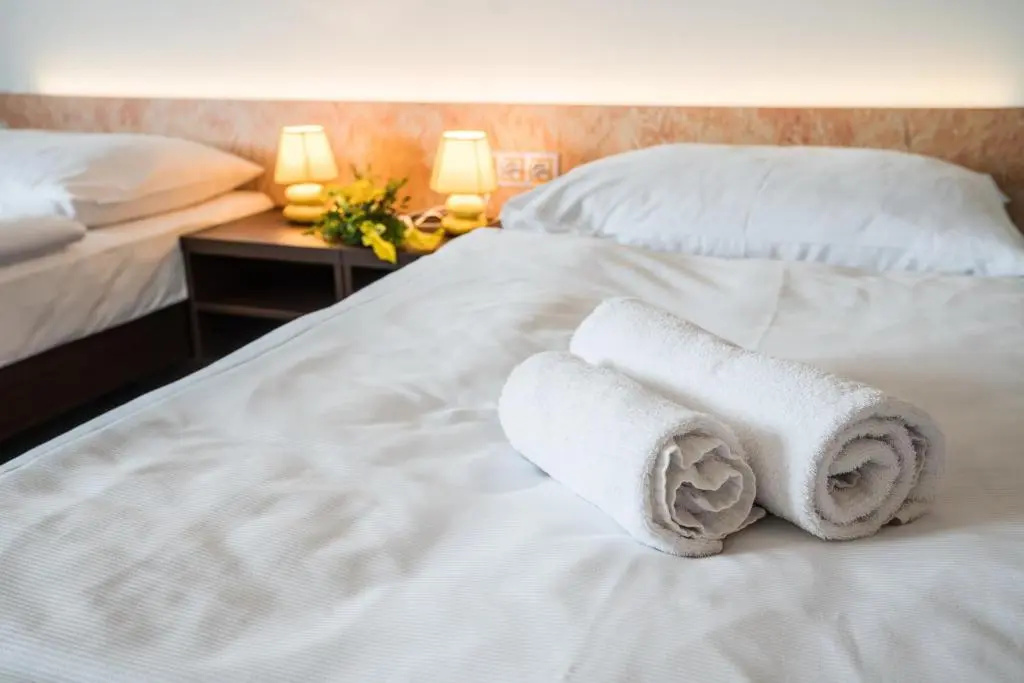 Hotel Na Farmě Choťovice - Chambres