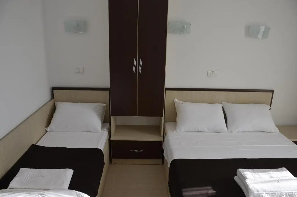 Vila Cosmin - Chambres