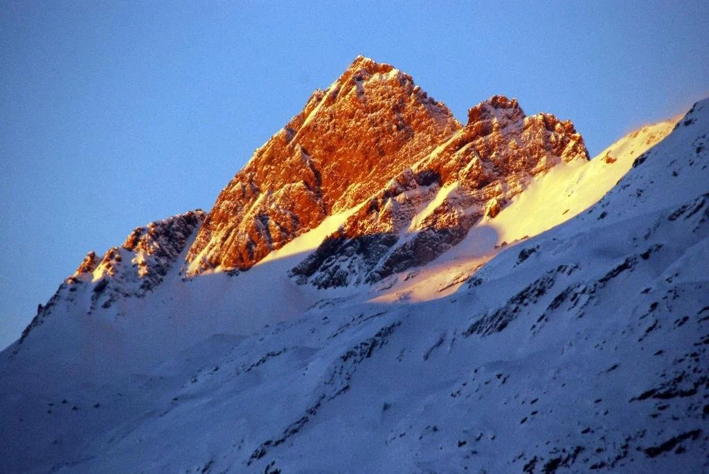 Alpenhotel zur Wildi - Général