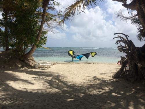Beach & Waterfront