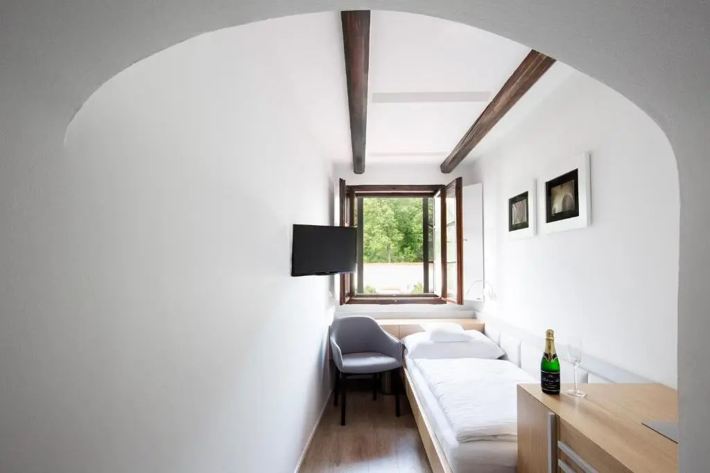 Standard Single room with park view