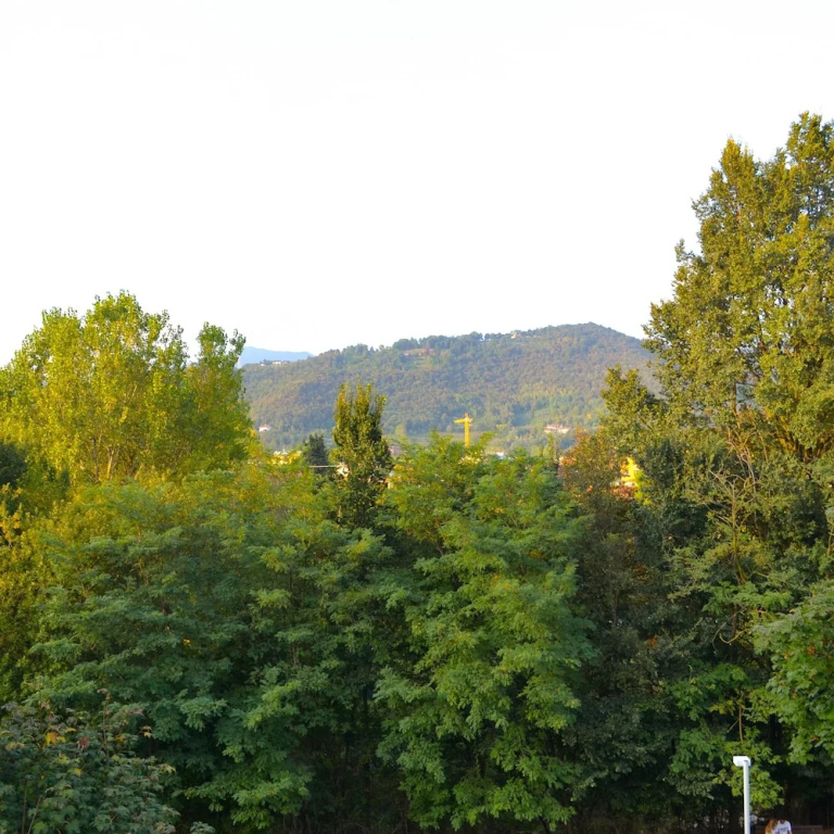 1 Bedroom Comfort Apartment with balcony