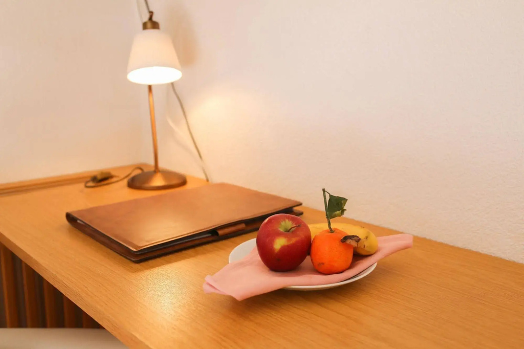 Hotel Sonnenhof - bed & breakfast & appartements - Général