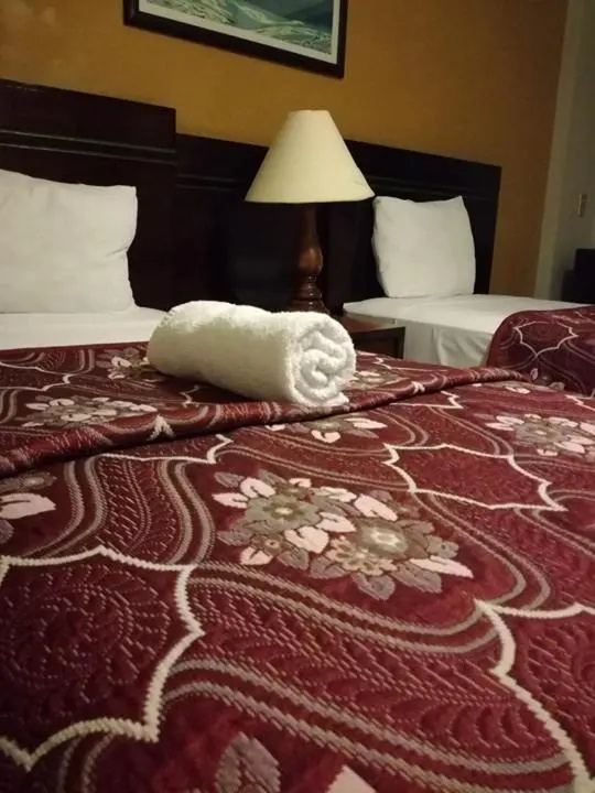 Hotel Dinastia Colima - Chambres