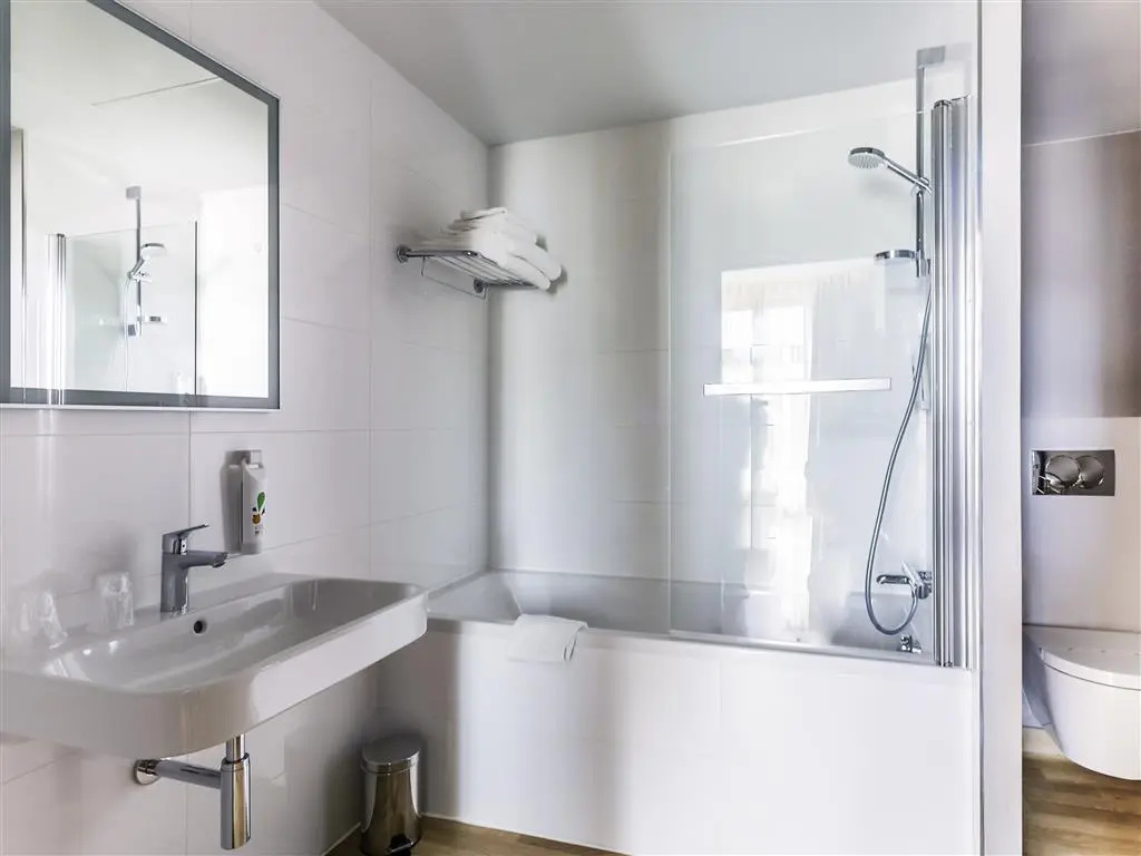 ibis Styles Toulouse Centre Capitole Hotel - Général
