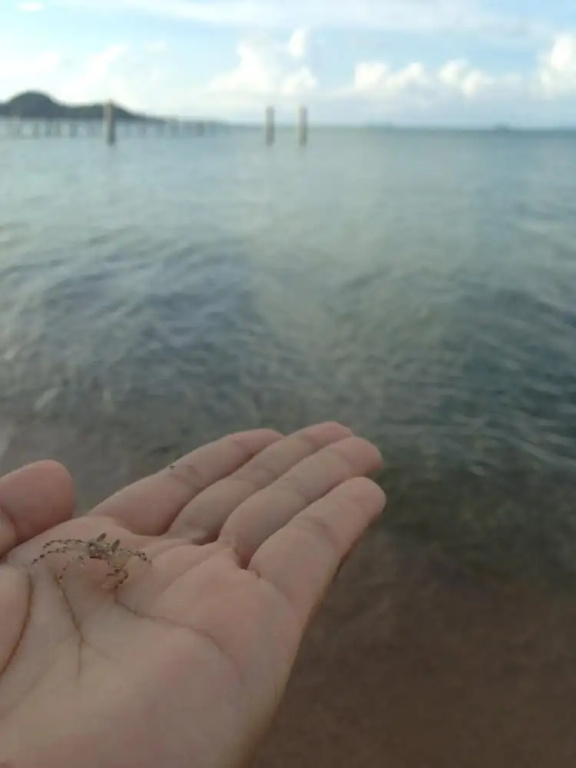 Beach & Waterfront