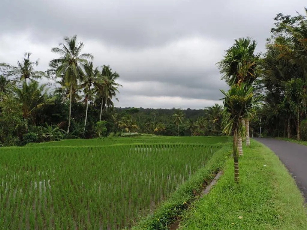 Geriya Homestay