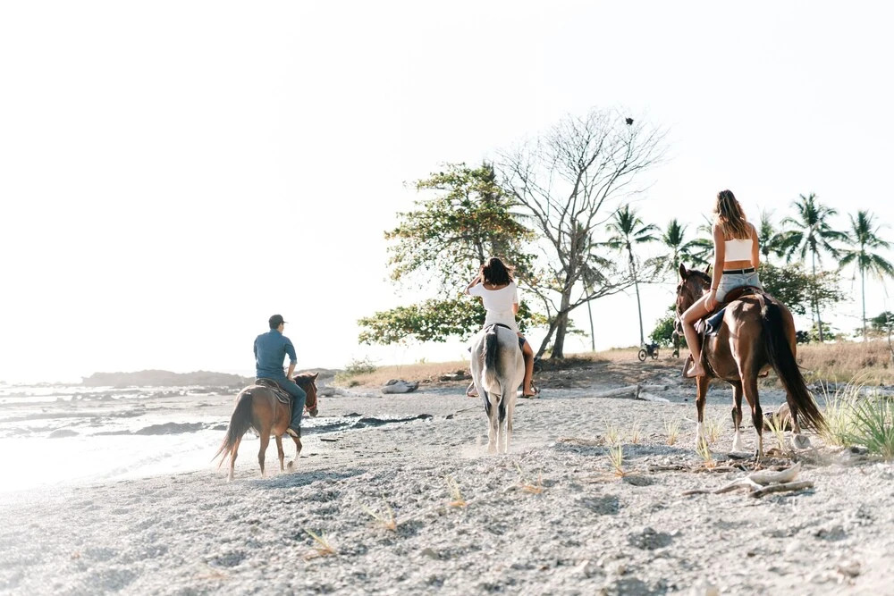 Star Mountain Jungle Lodge - фото 21