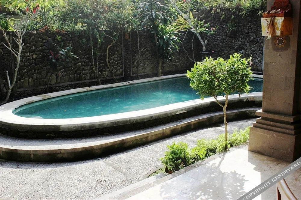 Nefatari Exclusive Villas - Général