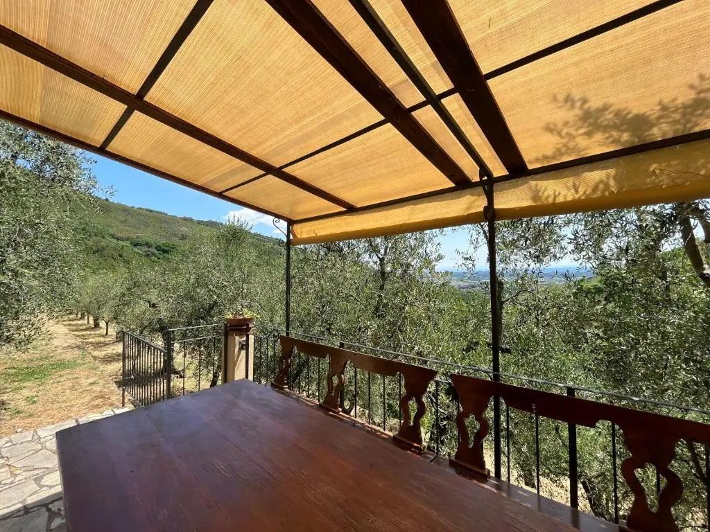 Balcony & Terrace