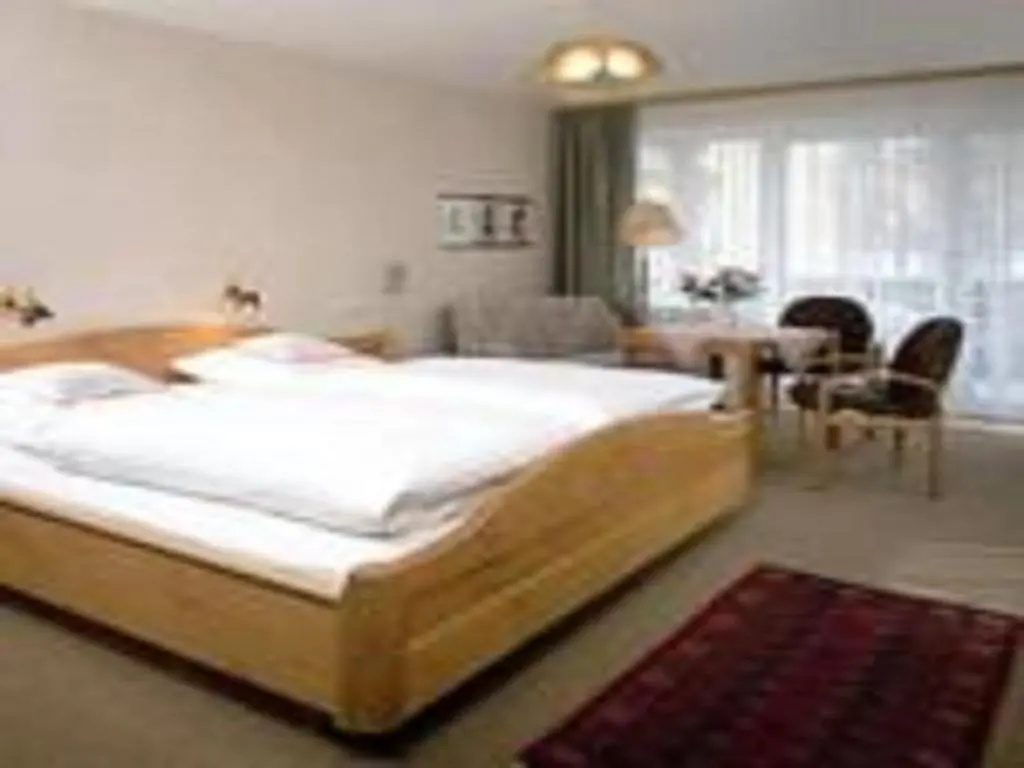 Standard Double room with balcony (full double bed)
