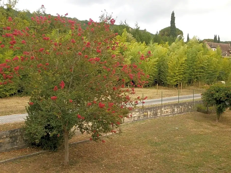 Afficher la photo 6 — les noyers