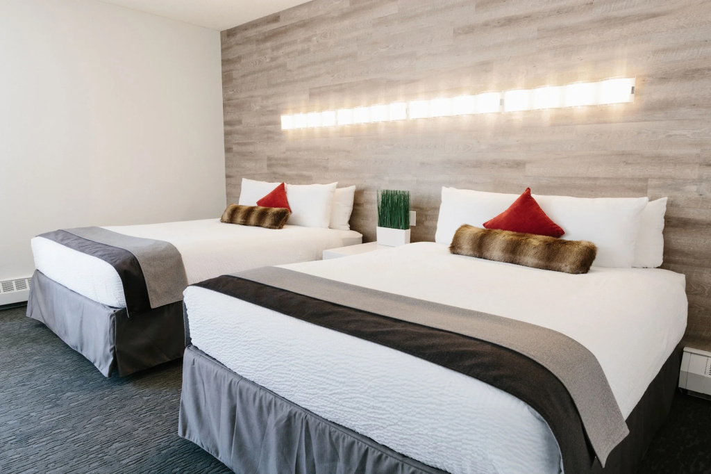 Elk + Avenue Hotel - Général