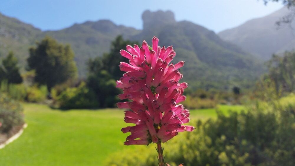 Pearl of Hout Bay