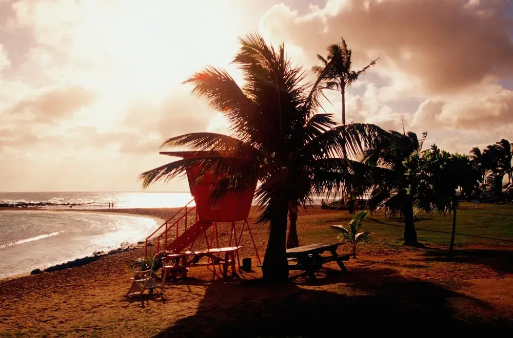 Beach & Waterfront