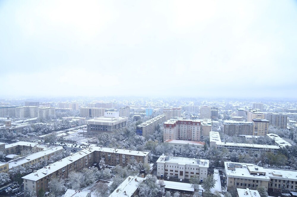 Апартаменты Luxury с 2 комнатами в Prime Suites