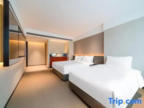 Songyang Tianyuan International Hotel - Chambres
