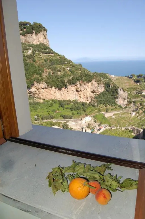 Balcony & Terrace