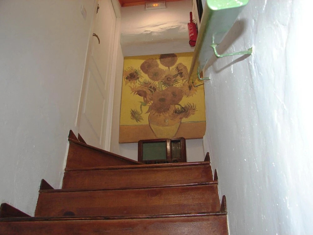 Image 12