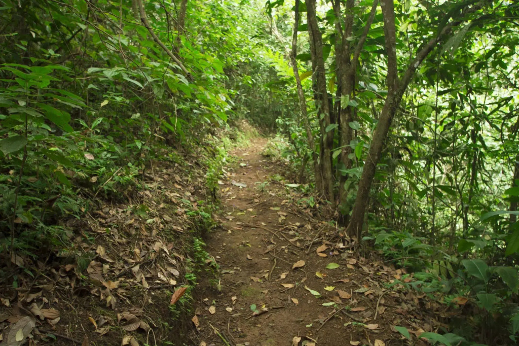 Villas Josipek - фото 19