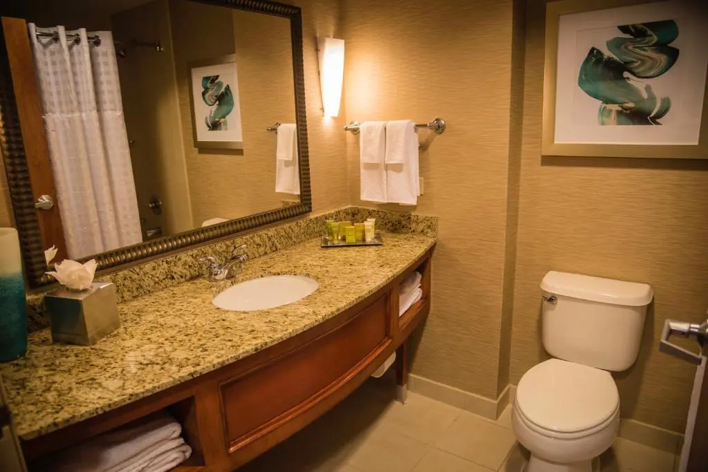 Hilton St. Petersburg Carillon Park - Chambres