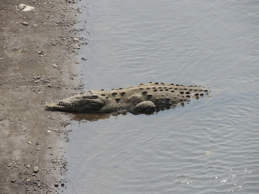 Hotel D'Lucía - фото 18