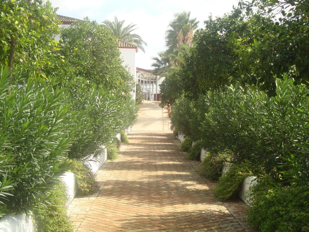 El Pilar - Général