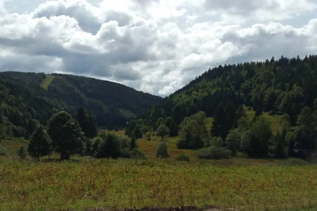 Voir la photo 2 — LA BRESSE - Appartement de Charme 3*