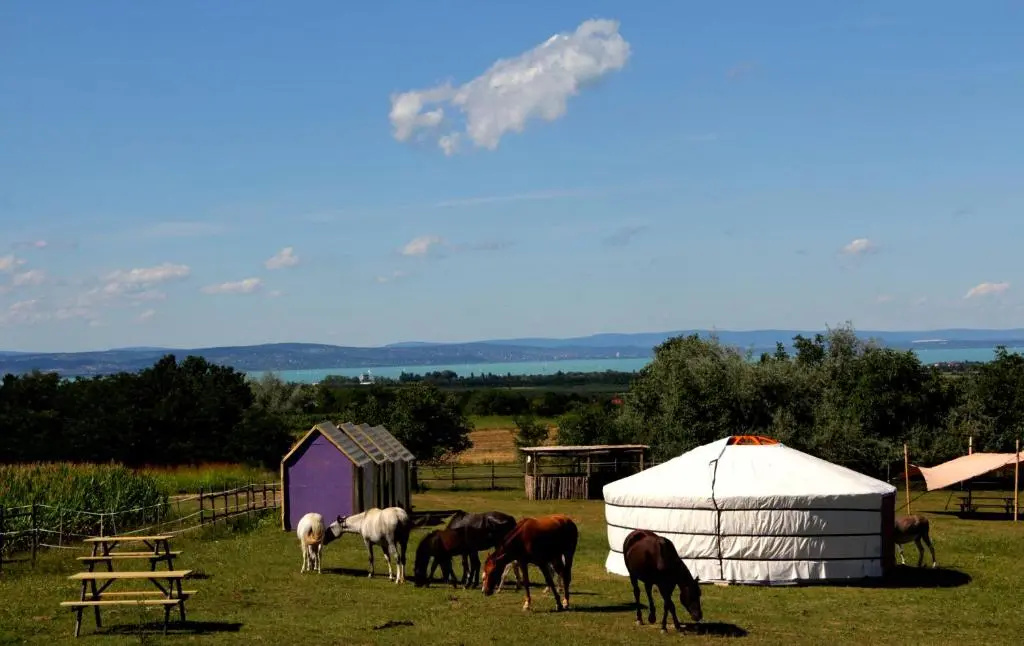 Dharma Horse Shelter Bungalows & Farmping