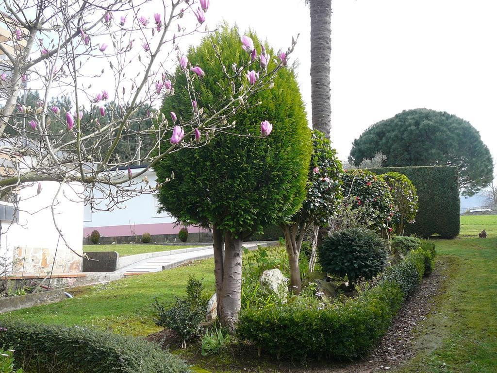 Hotel el Pinar
