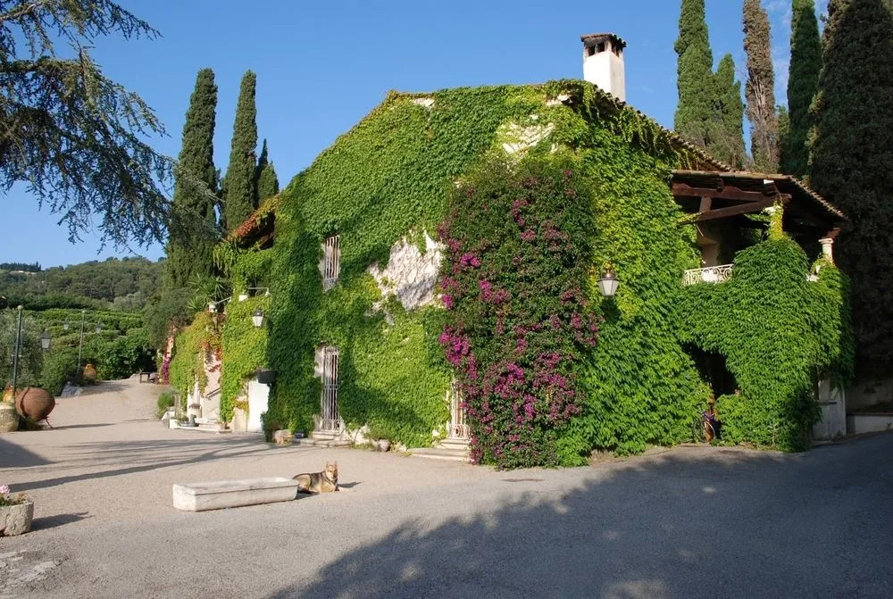 L'orangeraie De La Baronne